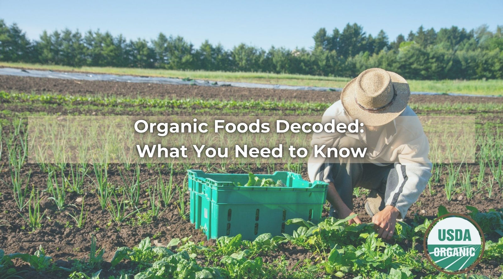 Farmer working on an organic farm with text overlay “Organic Foods Decoded: What You Need to Know” and USDA organic label.